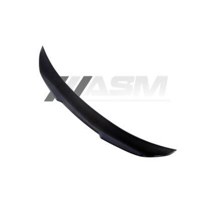 BMW F10 M5 & 5 SERIES CARBON FIBRE SPOILER - PS STYLE