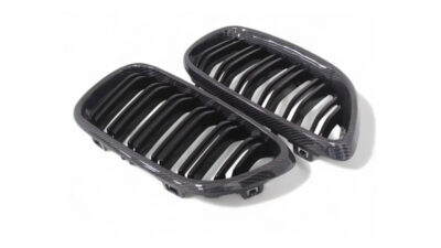 Bmw M2/2 Series F87/F22 Carbon Fibre Front Grilles