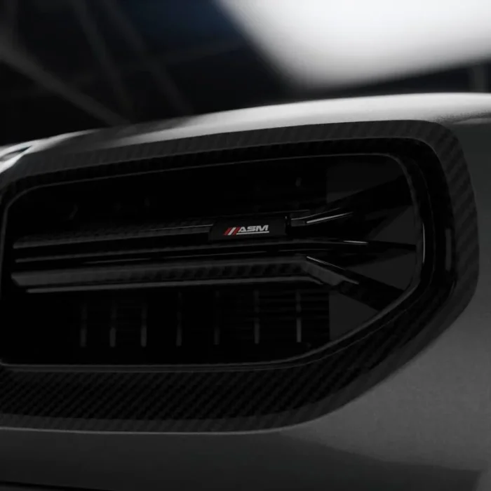 BMW G87 M2 DRY CARBON FIBRE GRILLE ASM DESIGN