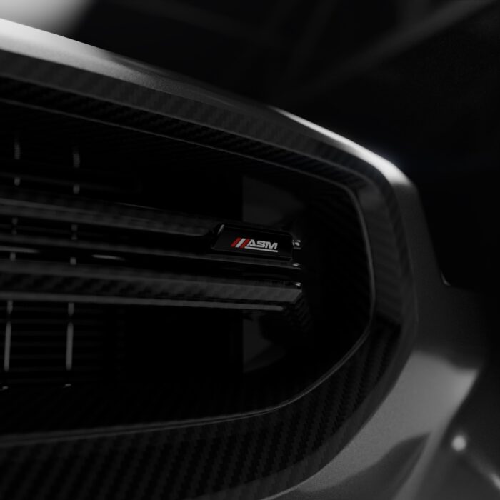 BMW G87 M2 DRY CARBON FIBRE GRILLE ASM DESIGN